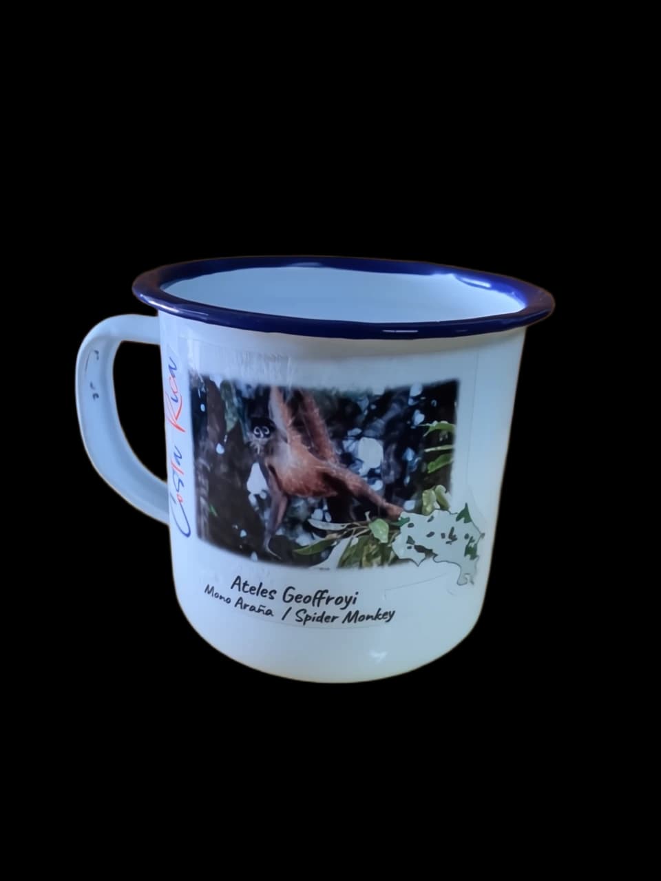 Spider Monkey Mug