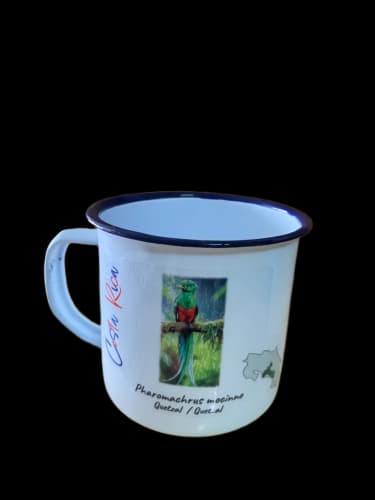 Resplendent Quetzal Mug